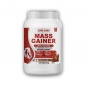  Lion Labs Mass Gainer  1000 