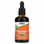 Экстракт NOW Echinacea Extract 60 мл